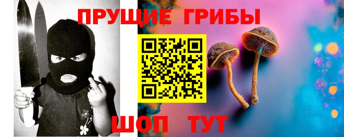 Галлюциногенные грибы Psilocybine cubensis  Вход с VPN  Дмитров 